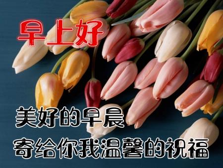 早安问候语：早上好，愿你有一个充满力量和能量的一天